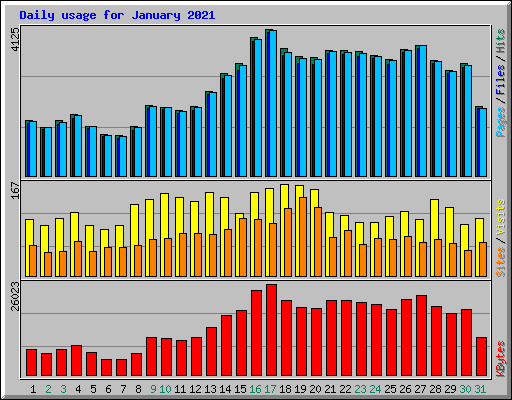 Daily usage for January 2021