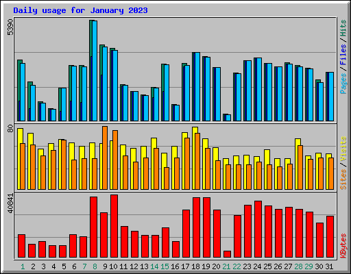 Daily usage for January 2023