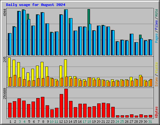 Daily usage for August 2024