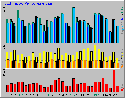 Daily usage for January 2025