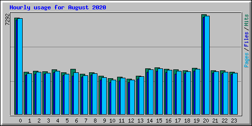 Hourly usage for August 2020