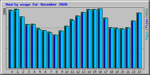 Hourly usage for December 2020