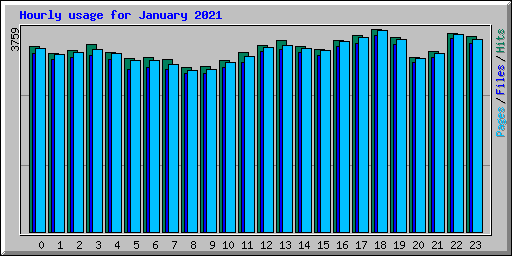 Hourly usage for January 2021