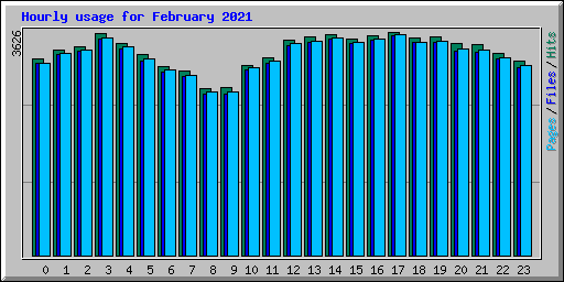 Hourly usage for February 2021