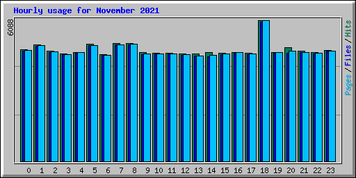 Hourly usage for November 2021