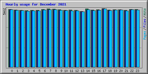 Hourly usage for December 2021