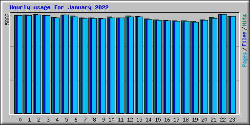Hourly usage for January 2022