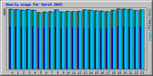 Hourly usage for March 2022
