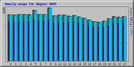 Hourly usage for August 2022