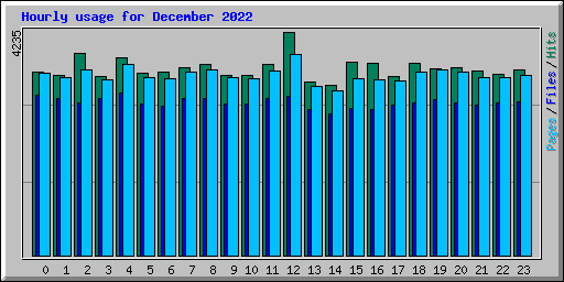 Hourly usage for December 2022