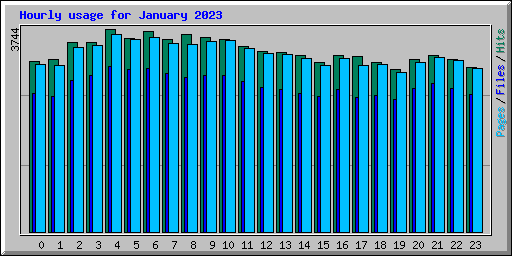 Hourly usage for January 2023