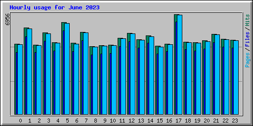 Hourly usage for June 2023