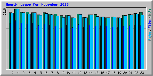 Hourly usage for November 2023