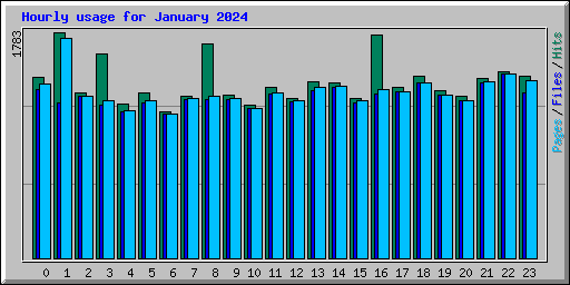 Hourly usage for January 2024