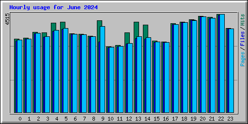 Hourly usage for June 2024
