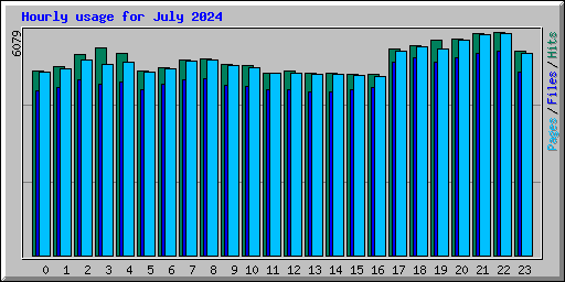 Hourly usage for July 2024