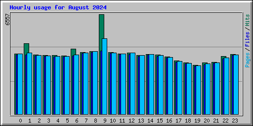 Hourly usage for August 2024