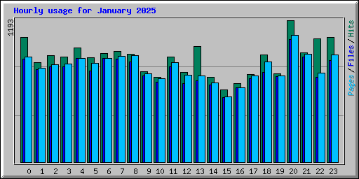 Hourly usage for January 2025