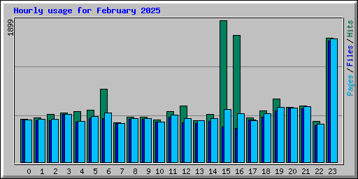 Hourly usage for February 2025
