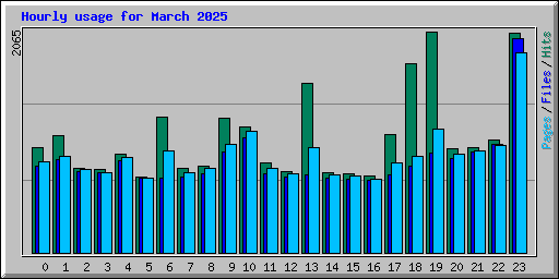 Hourly usage for March 2025