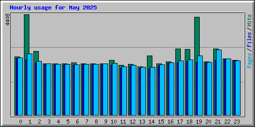 Hourly usage for May 2025
