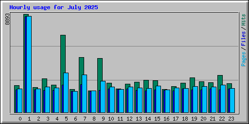 Hourly usage for July 2025
