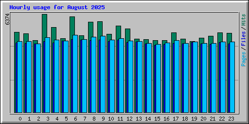 Hourly usage for August 2025