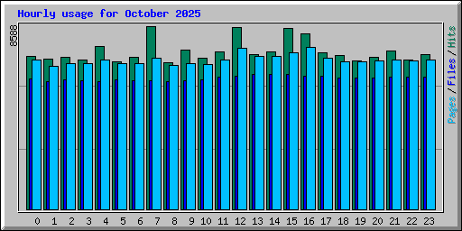 Hourly usage for October 2025