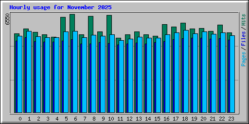 Hourly usage for November 2025