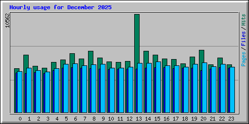 Hourly usage for December 2025