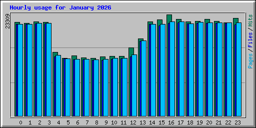 Hourly usage for January 2026