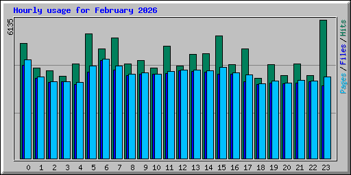 Hourly usage for February 2026